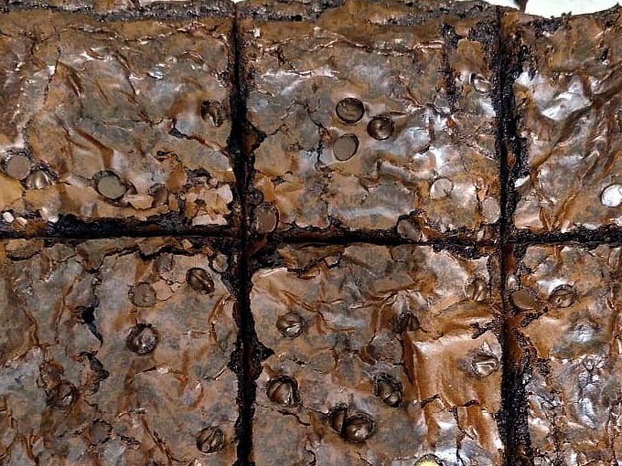 Freshly baked chocolate chip brownies cut into squares
